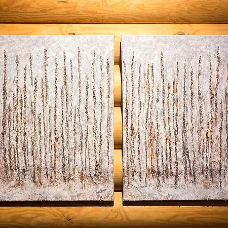 Apartment Levikoto 3 A Visit Levi